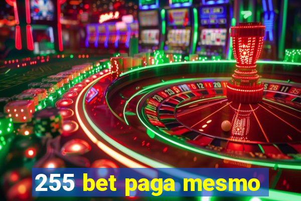 255 bet paga mesmo